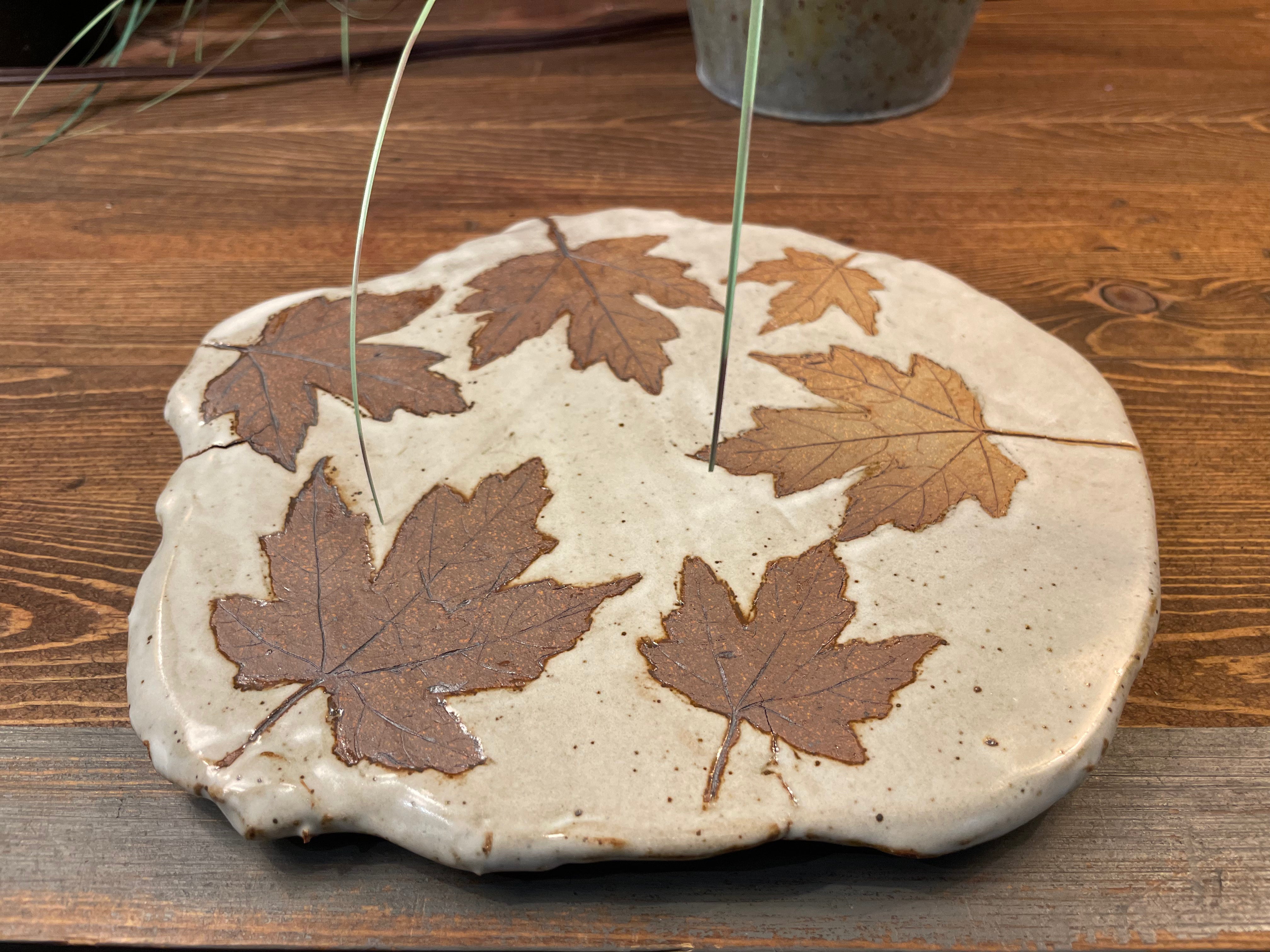 Botanical Dishes