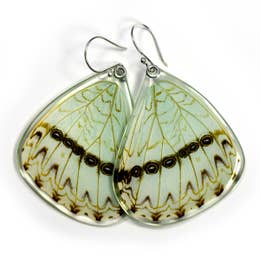 Mint Morpho Catenarius Butterfly Earrings